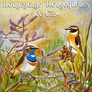 Rougegorge, rougequeues et compagnie